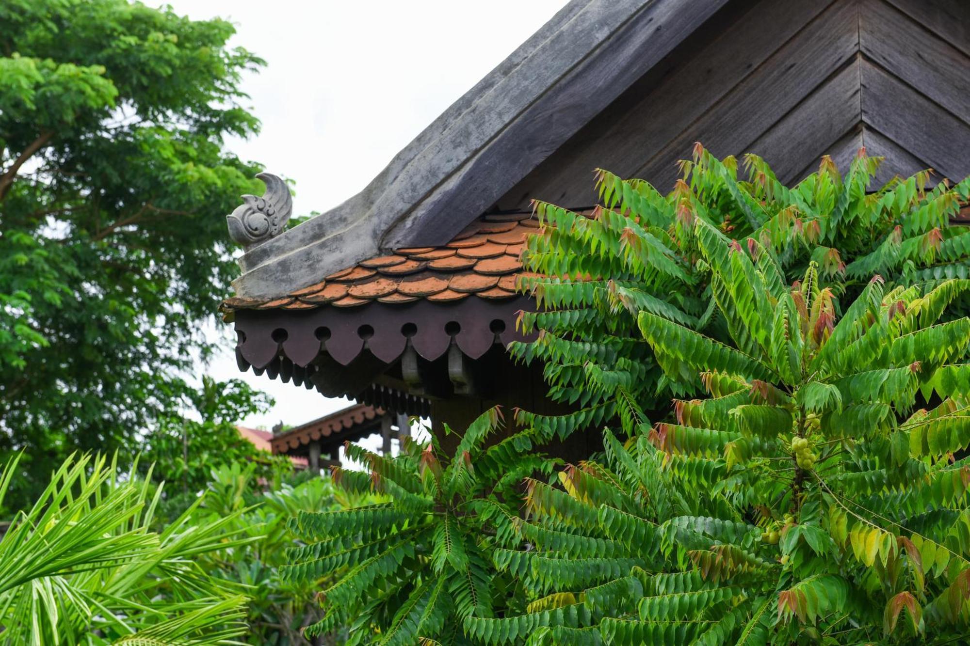 Phum Khmer Lodge - Village Cambodian Eco-Lodge Σιέμ Ρέαπ Εξωτερικό φωτογραφία